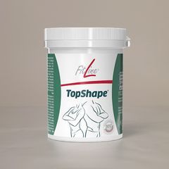 Top Shape Review
