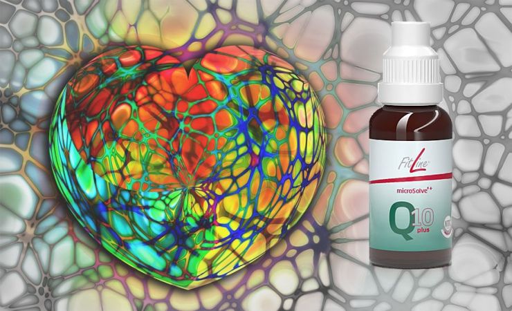 Fitline Q10 Plus showing box and bottle size